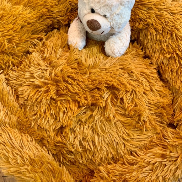 ERGONOMIC LUXURY PET MICRO-BEAD BEAN-BAG BED 🛏 - Picture 6 of 7